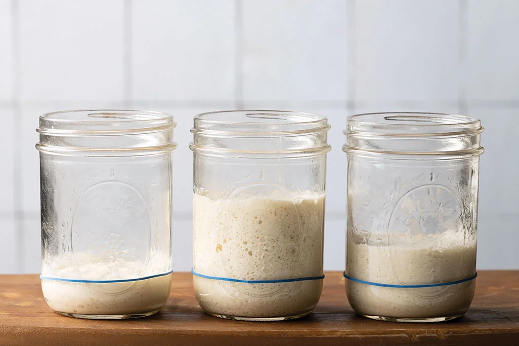 Transform Your Favorite Yeasted Recipes with Sourdough Starter