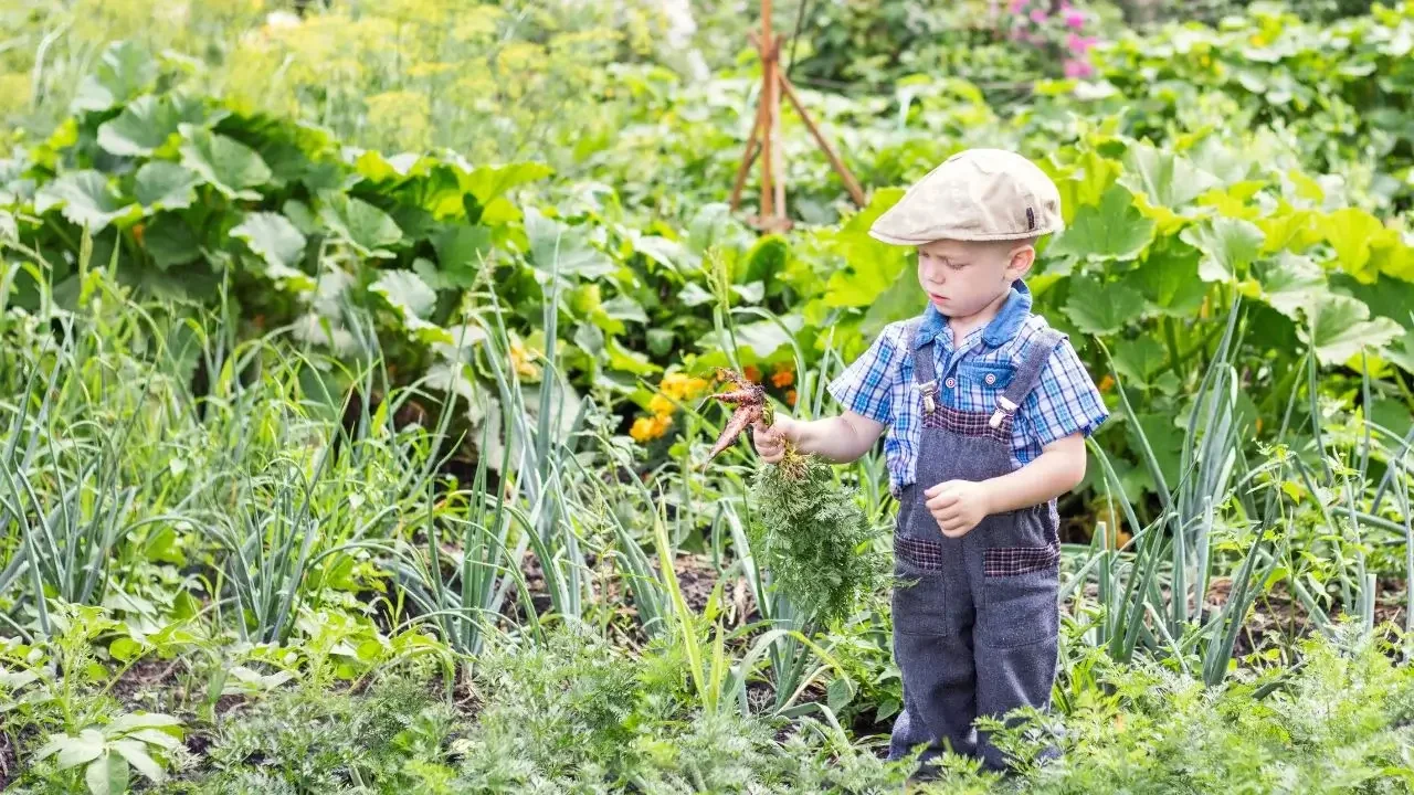 A child engaging with crops in a lush garden, promoting sustainability awareness.