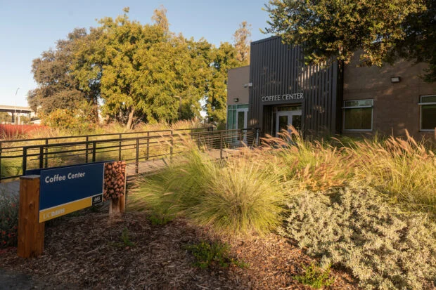 UC Davis Coffee Center Receives $1 Million for Graduate Research Fellowship