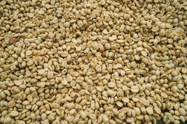 Collaboration Among Key Coffee Organizations Aims for Sustainable Procurement Practices
