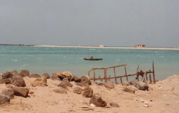 Yemen's Coffee Legacy: From Mocha's Glory to Modern Challenges