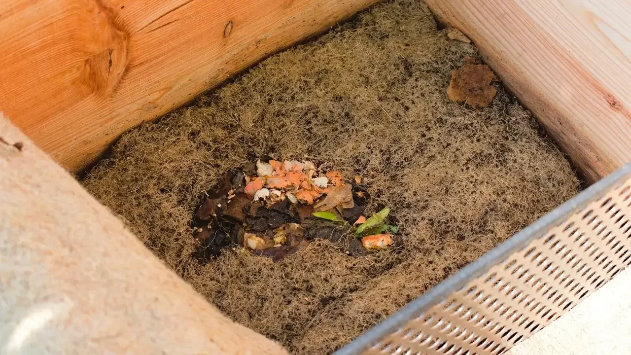 A shot of a wooden bin made to produce Worm Castings by vermicomposting with the bin placed somewhere shaded