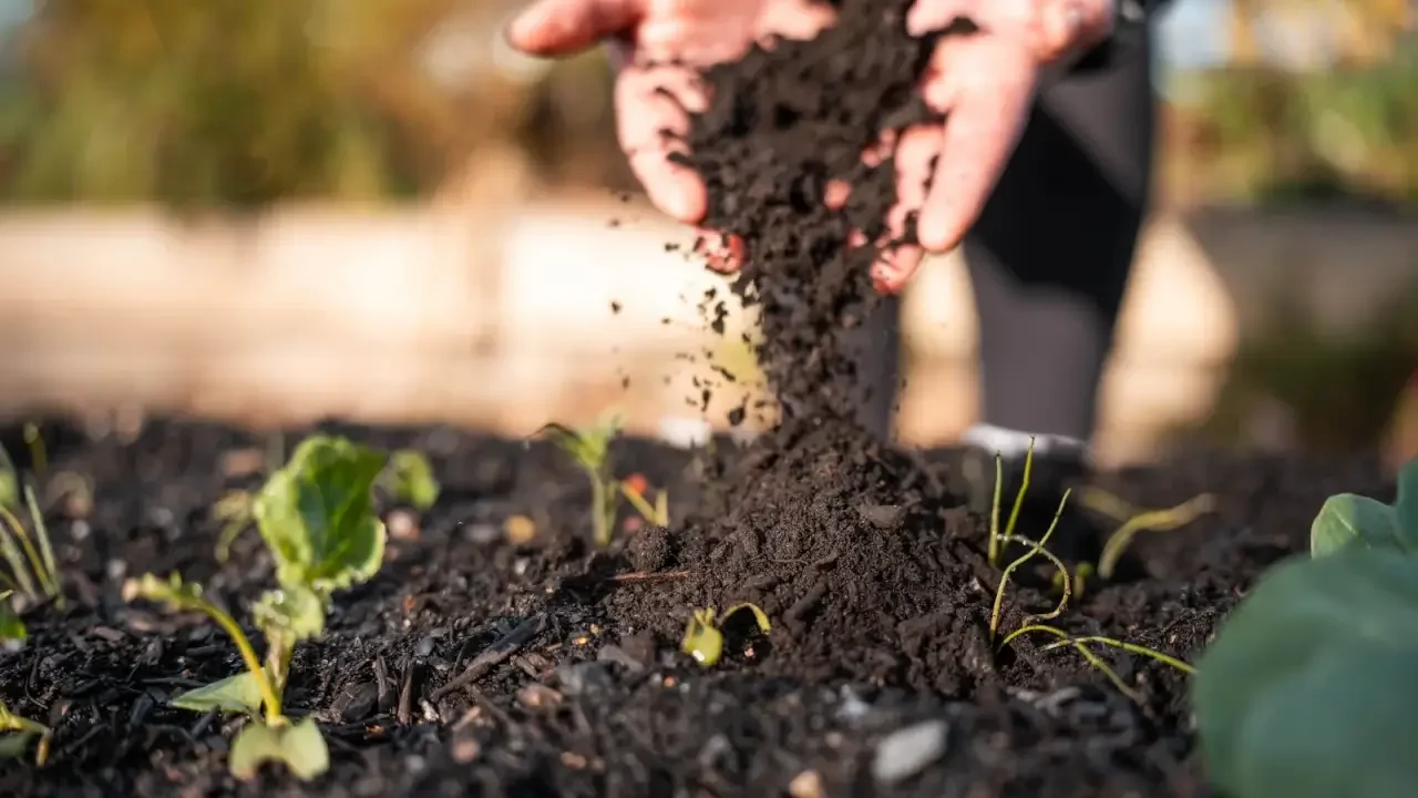 Essential March Soil Amendments for Thriving Crops