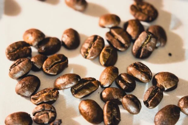 Popular San Francisco Coffee Company Closes Both Cafes After Landlord Disputes